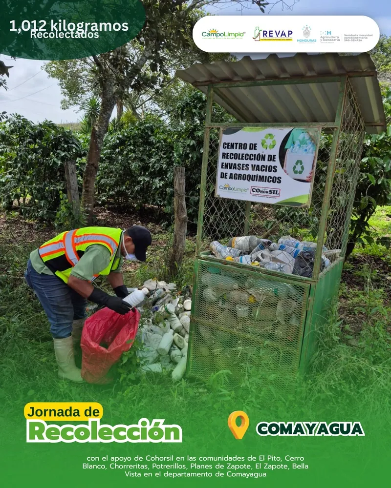 Centro de recolección en Comayagua