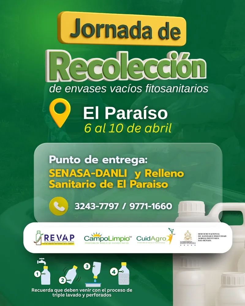 Jornada de recolección en El Paraíso