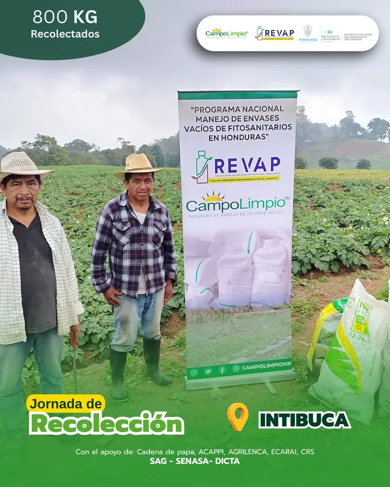 Jornada de recolección en Intibucá, 800 kg recolectados